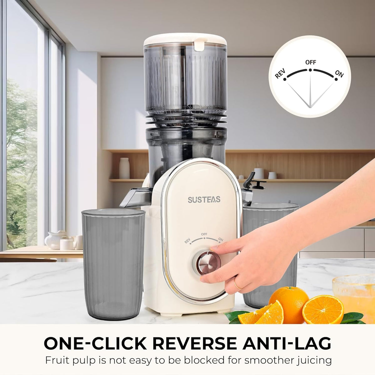 SUSTEAS Cold Press Juicer, 5.3